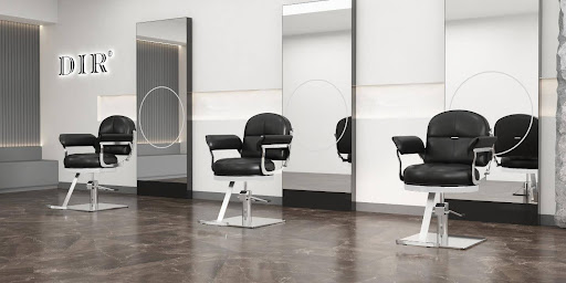 Salon Chair